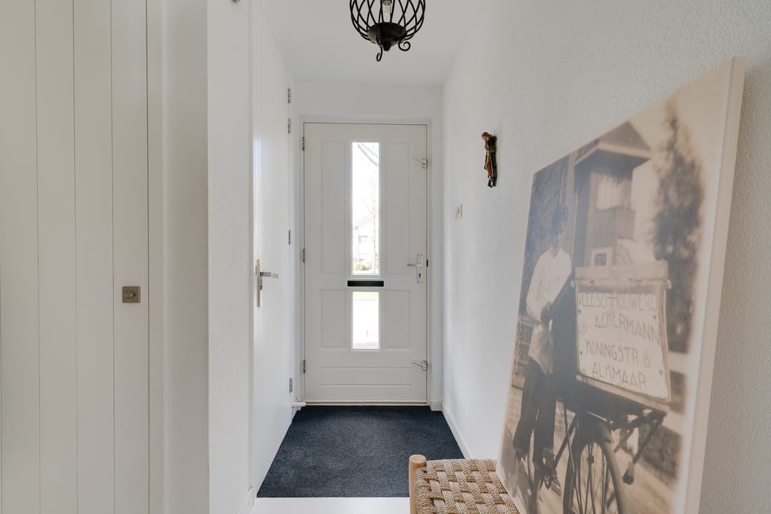 Foto 37 van Woestijnvaraan 57