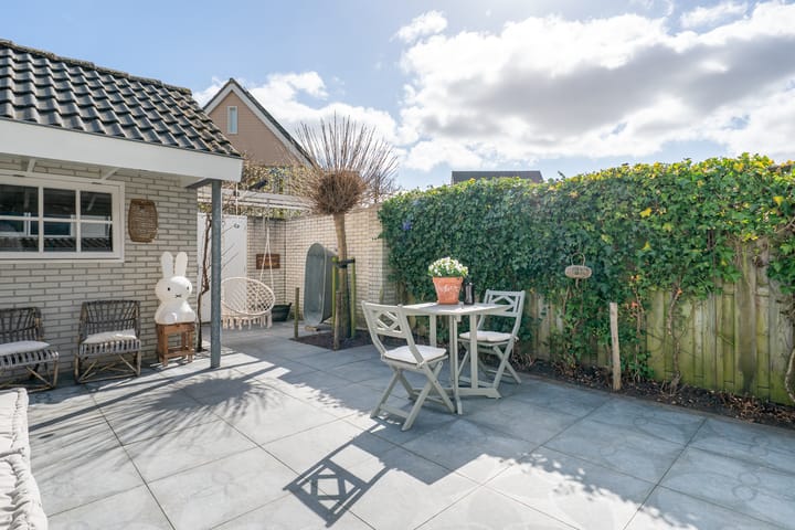 Photo 39 of Woestijnvaraan 57