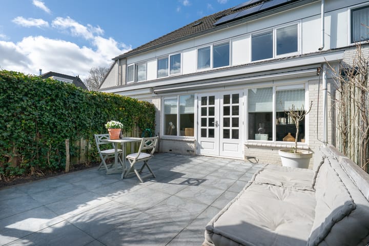 Photo 43 of Woestijnvaraan 57