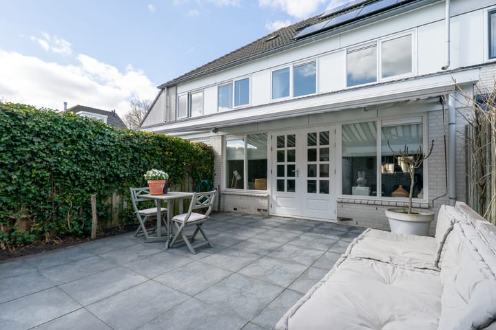 Photo 45 of Woestijnvaraan 57