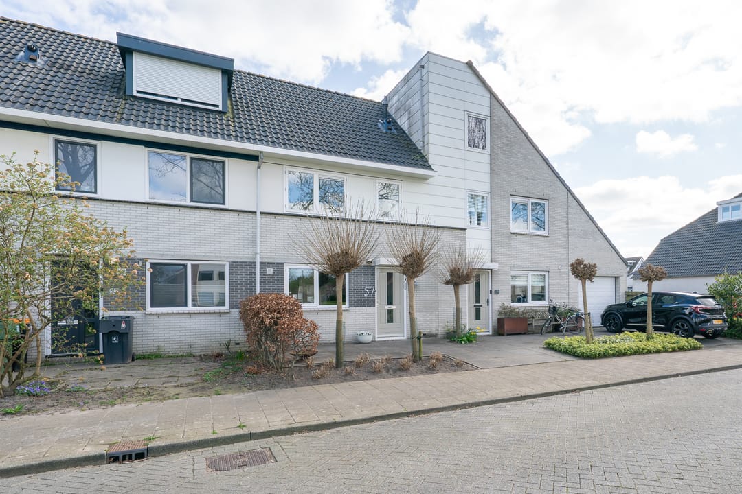 Foto 46 van Woestijnvaraan 57