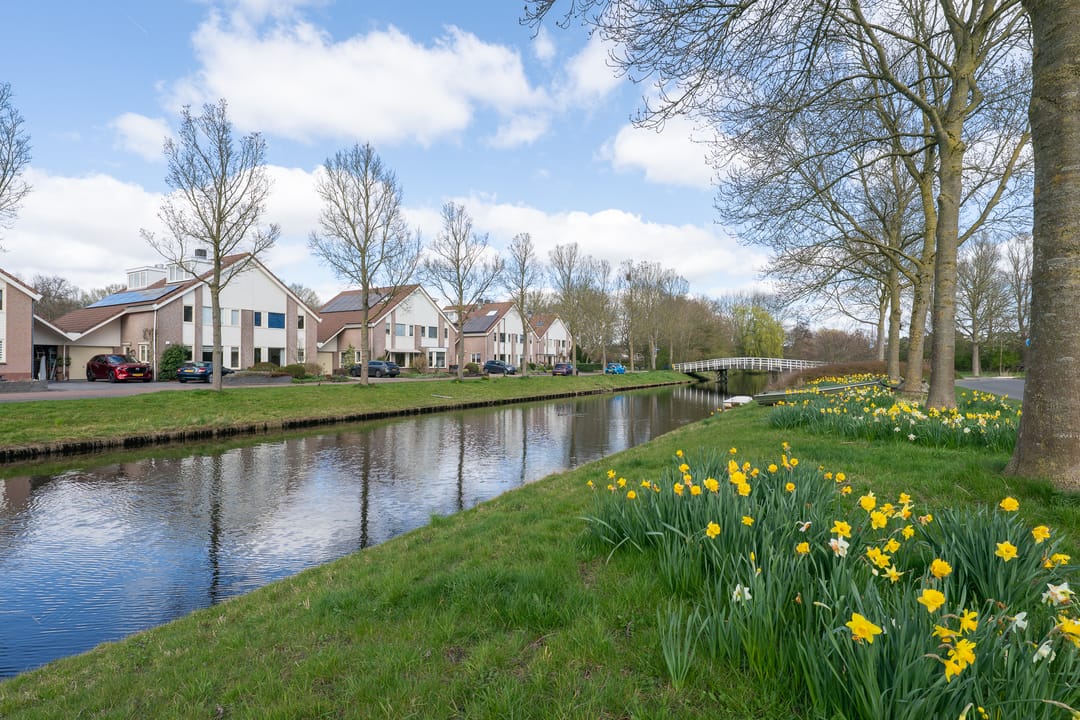 Foto 47 van Woestijnvaraan 57