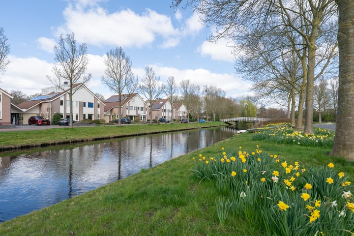 Photo 47 of Woestijnvaraan 57