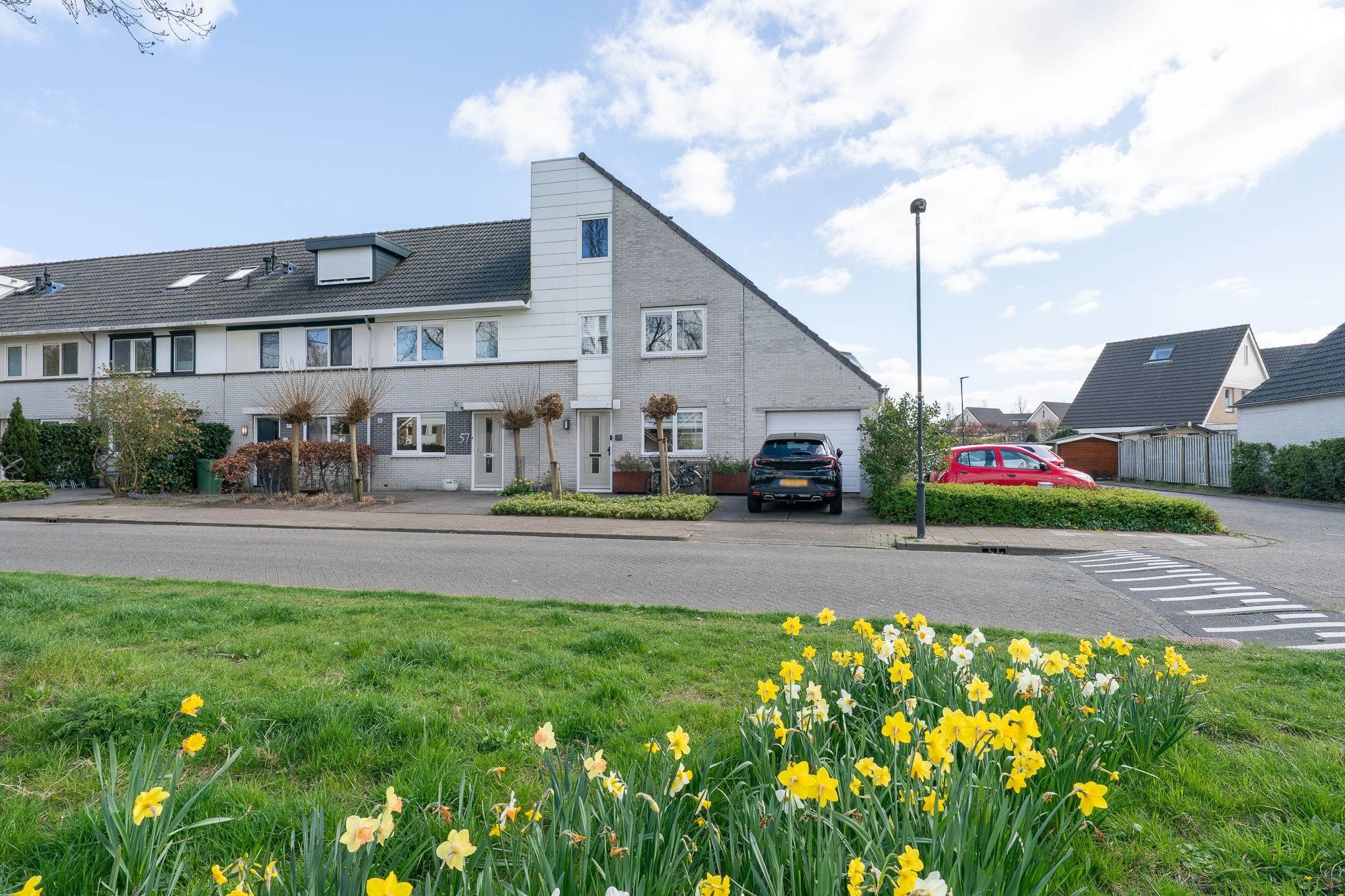 Foto 48 van Woestijnvaraan 57