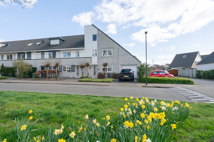 Photo 48 of Woestijnvaraan 57