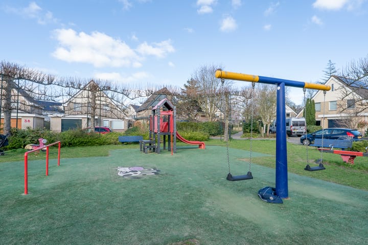 Photo 49 of Woestijnvaraan 57