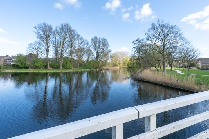 Photo 50 of Woestijnvaraan 57