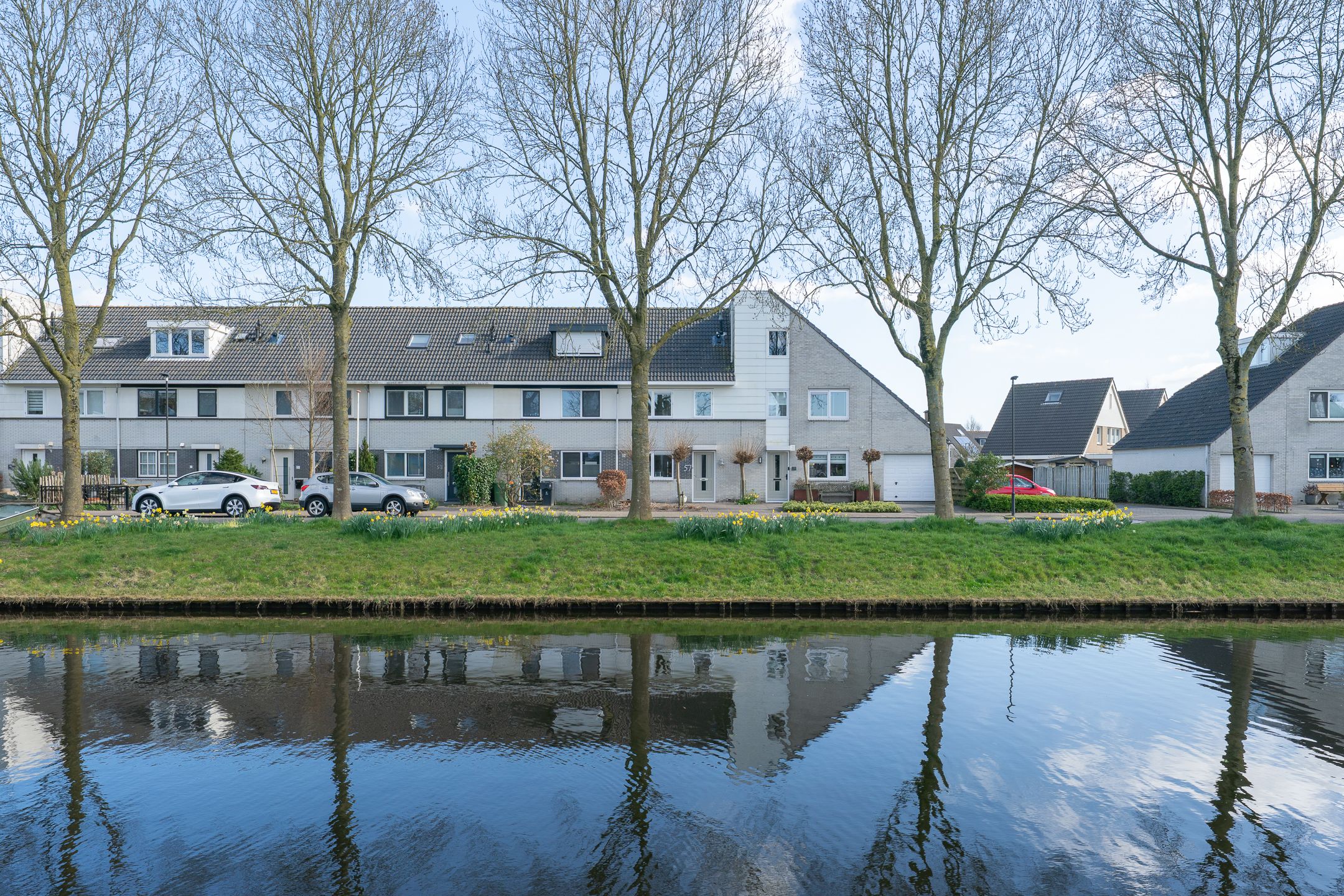 Foto 51 van Woestijnvaraan 57