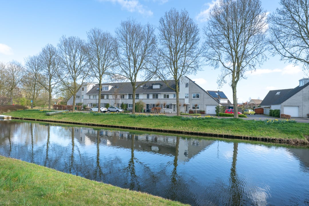 Foto 52 van Woestijnvaraan 57