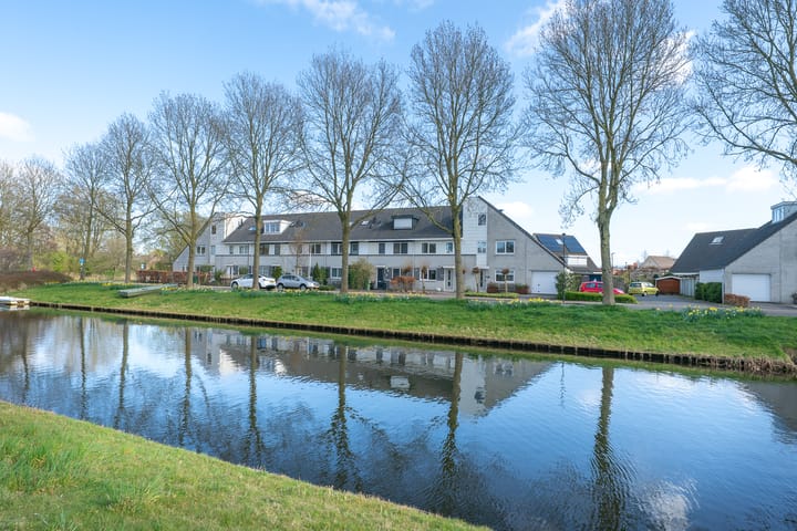 Photo 52 of Woestijnvaraan 57