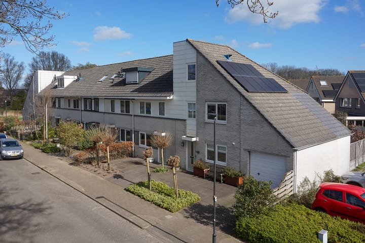 Photo 53 of Woestijnvaraan 57