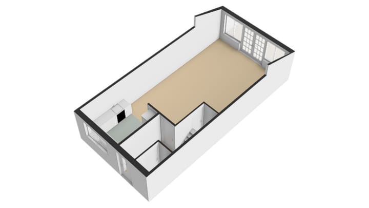 Photo 56 of Woestijnvaraan 57