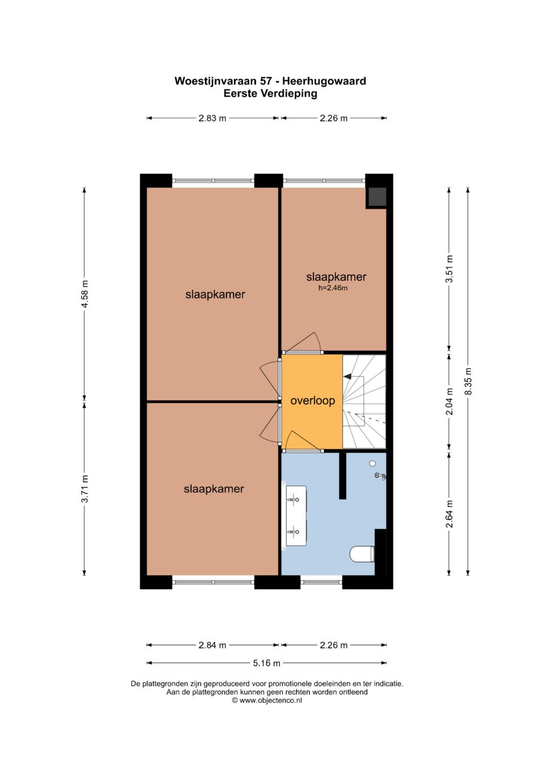Foto 57 van Woestijnvaraan 57