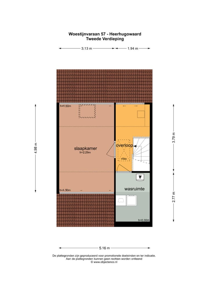 Photo 60 of Woestijnvaraan 57