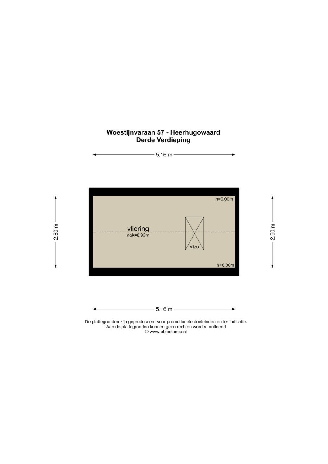 Foto 63 van Woestijnvaraan 57
