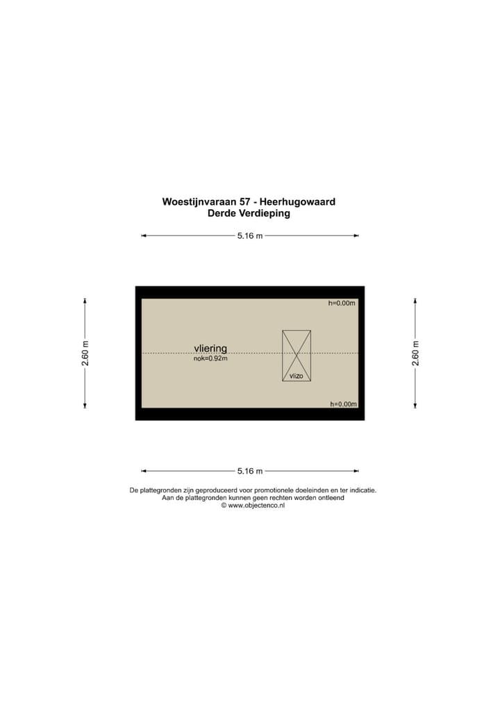 Photo 63 of Woestijnvaraan 57