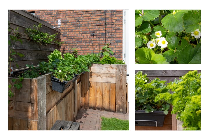 Foto 40 van Kievit 94