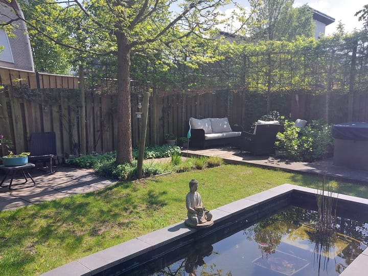 Foto 16 van Schout van der Dussensingel 85