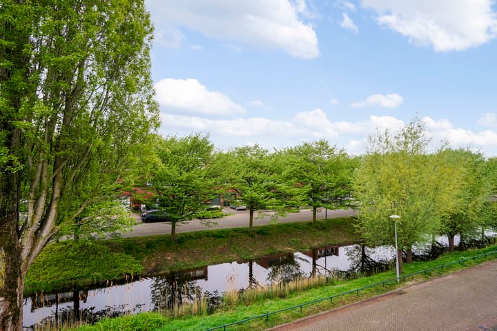 Foto 39 van Schout van der Dussensingel 85