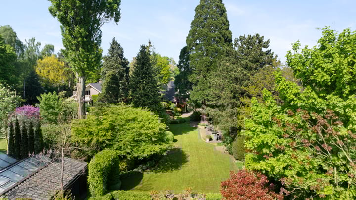 Foto 41 van Mozartlaan 11