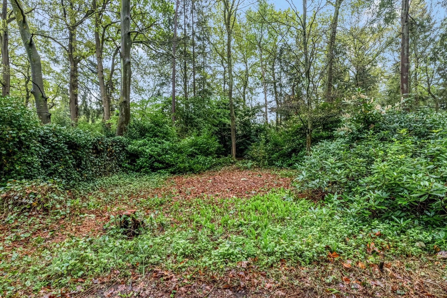 Photo 25 of Laan van Laag Kanje 7-R1