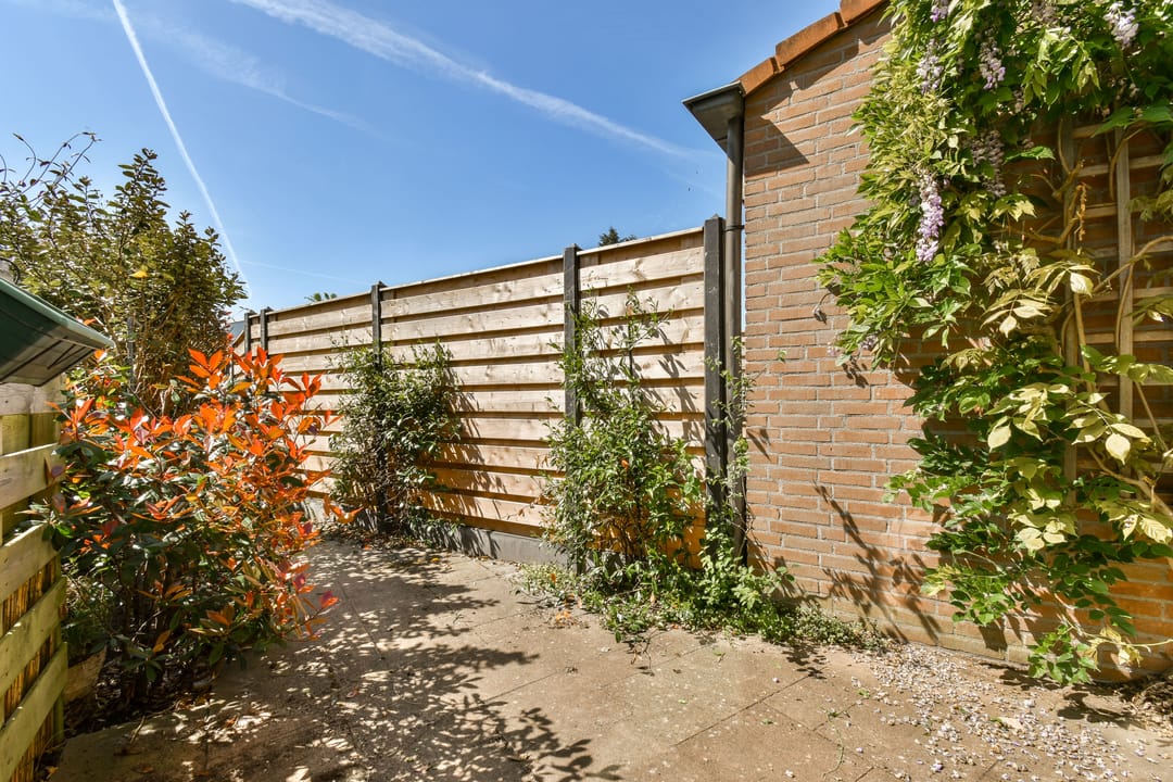 Foto 17 van Dinkel 44