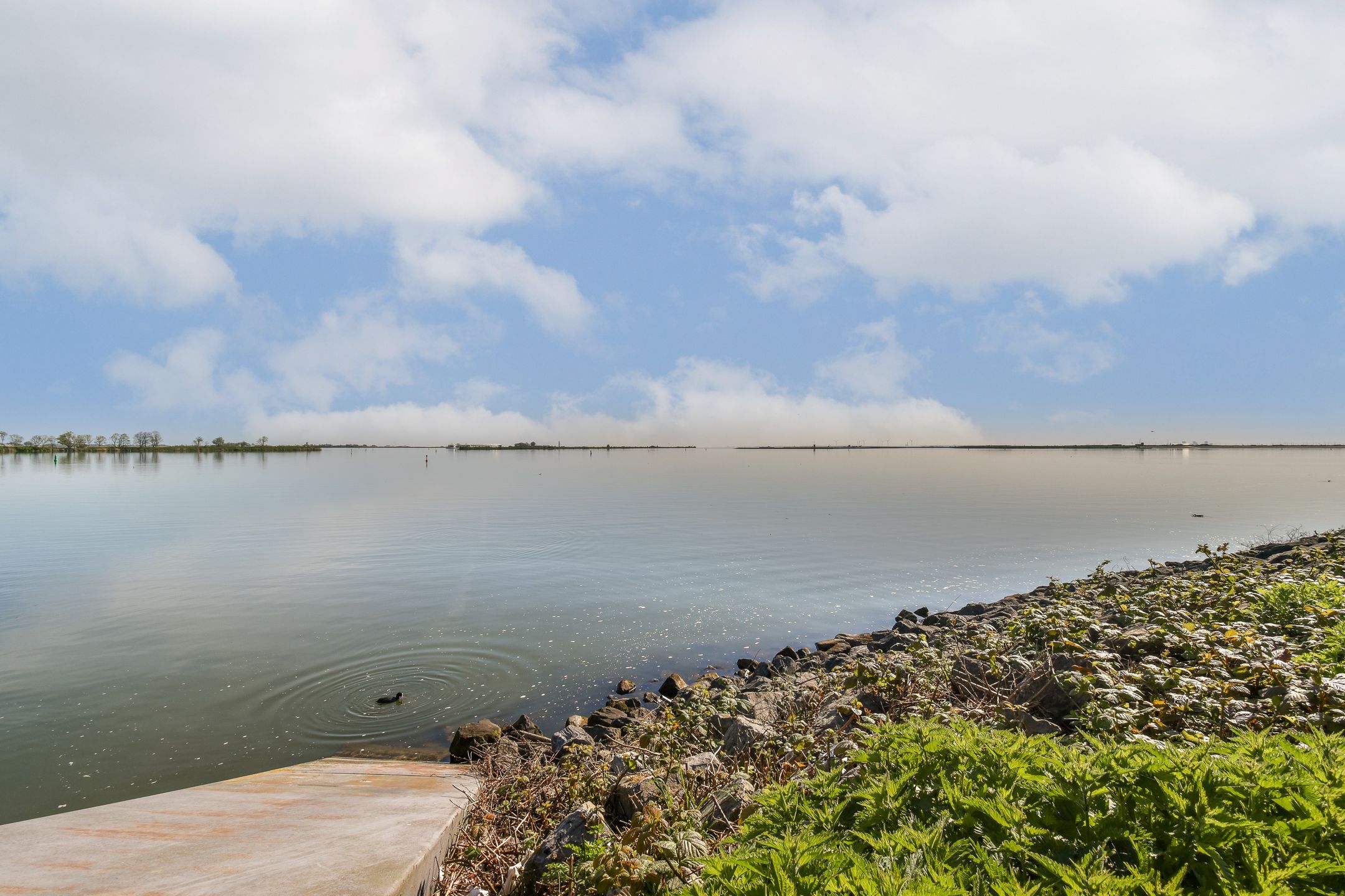 Foto 33 van Jean Desmetstraat 46