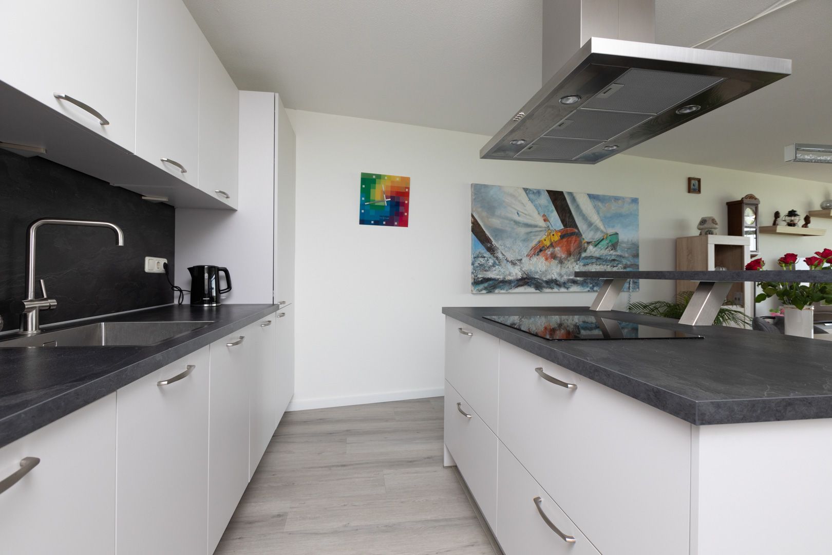 Foto 12 van Apollovlinder 66