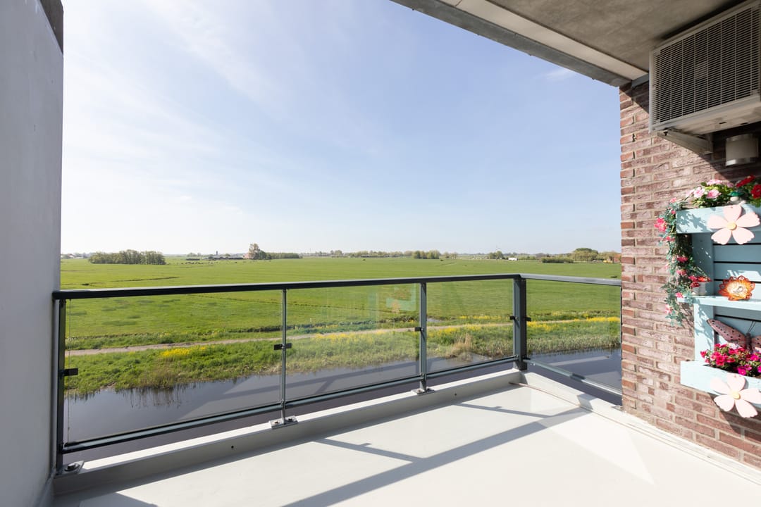 Foto 16 van Apollovlinder 66