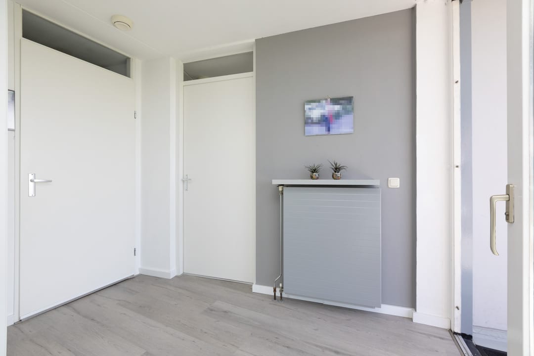 Foto 22 van Apollovlinder 66