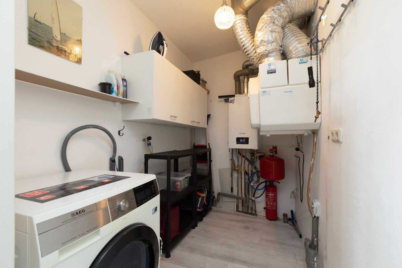 Foto 30 van Apollovlinder 66