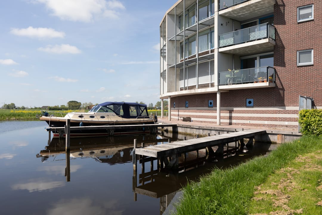 Foto 38 van Apollovlinder 66