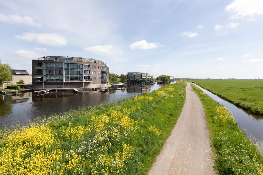 Foto 43 van Apollovlinder 66