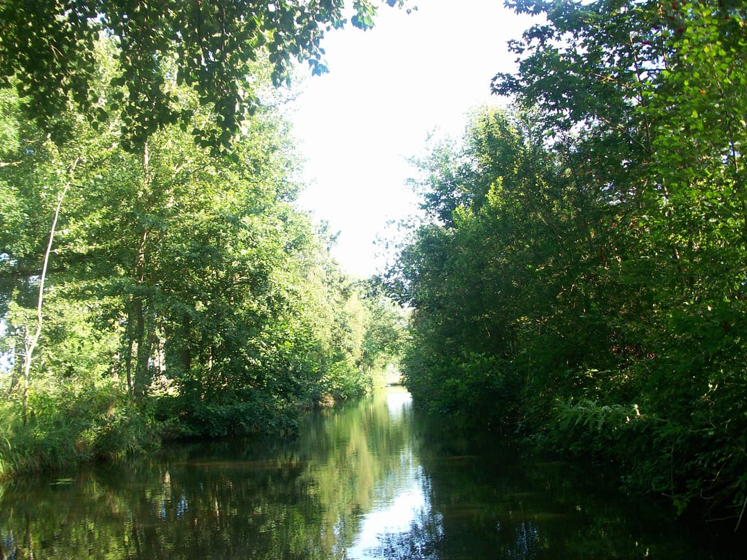 Foto 38 van Marderleane 9-A10