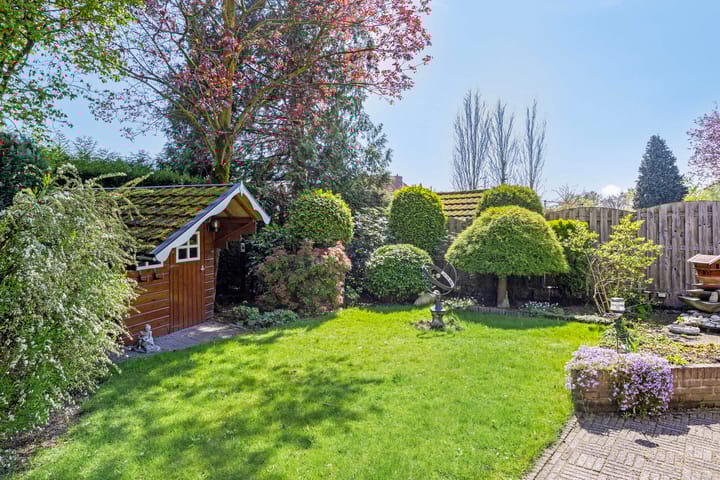 Foto 42 van Kijkakkers 60