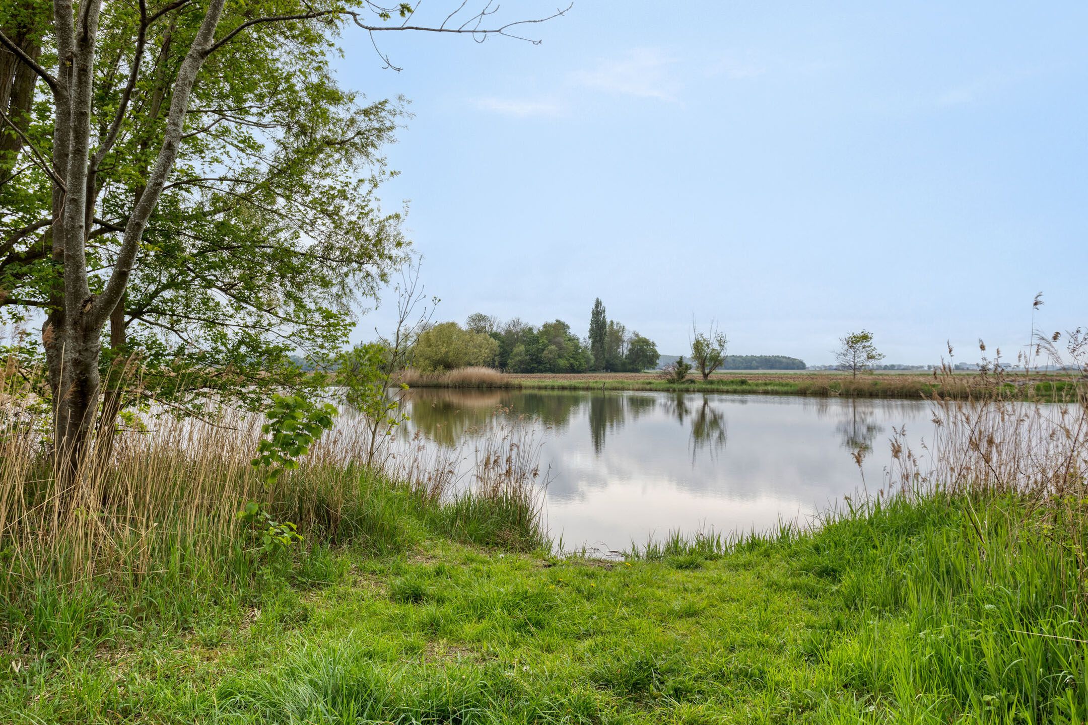 Foto 51 van Jacobus de Waalstraat 6