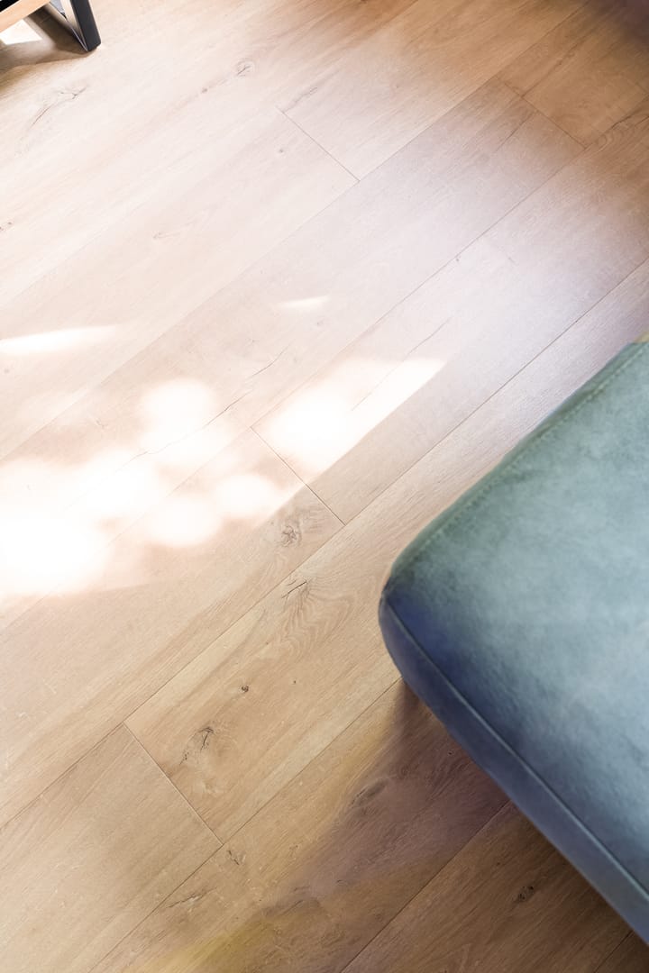 Foto 46 van Steenen Dijck 12