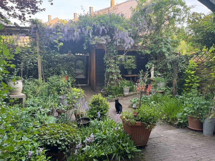 Foto 21 van Tafelberg 82