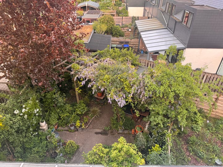 Foto 24 van Tafelberg 82