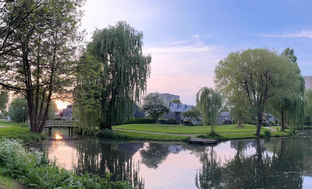 Foto 26 van Tafelberg 82