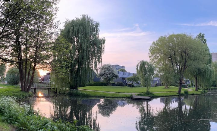 Foto 26 van Tafelberg 82