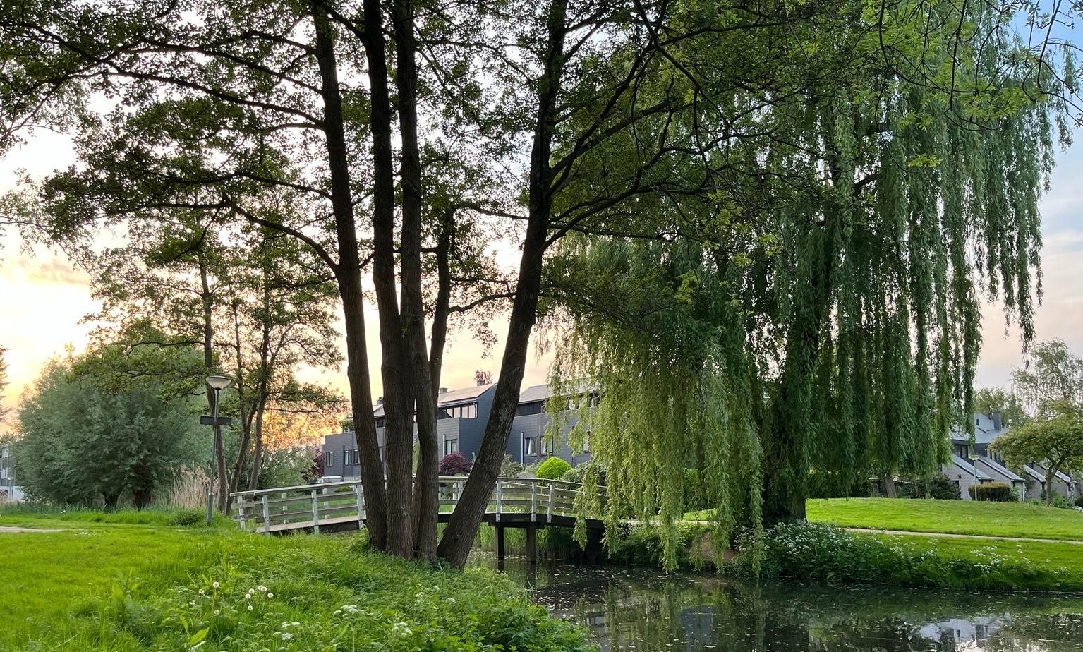 Foto 27 van Tafelberg 82