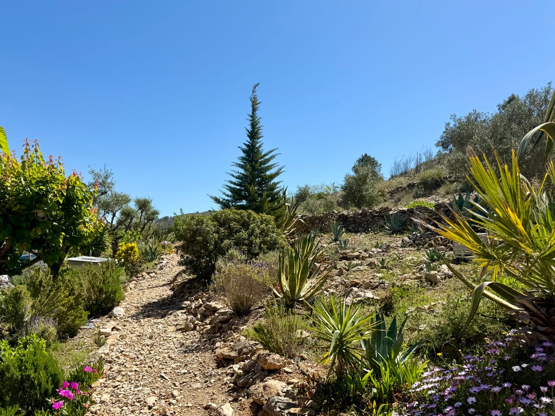 Foto 52 van Camino Almistech 21