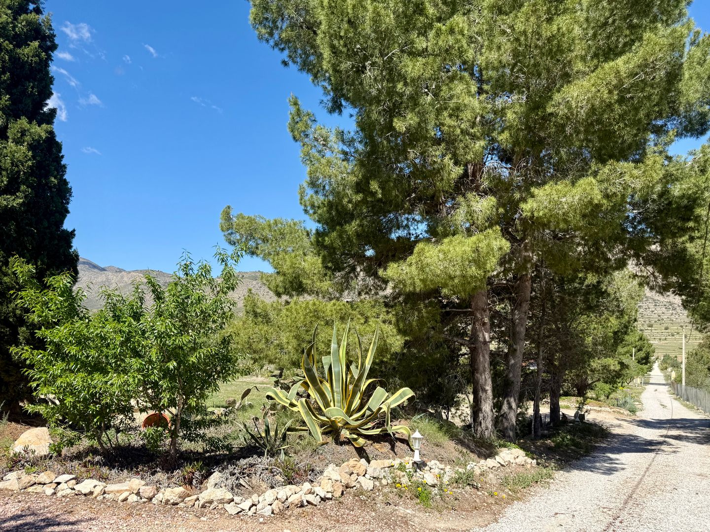 Foto 74 van Camino Almistech 21