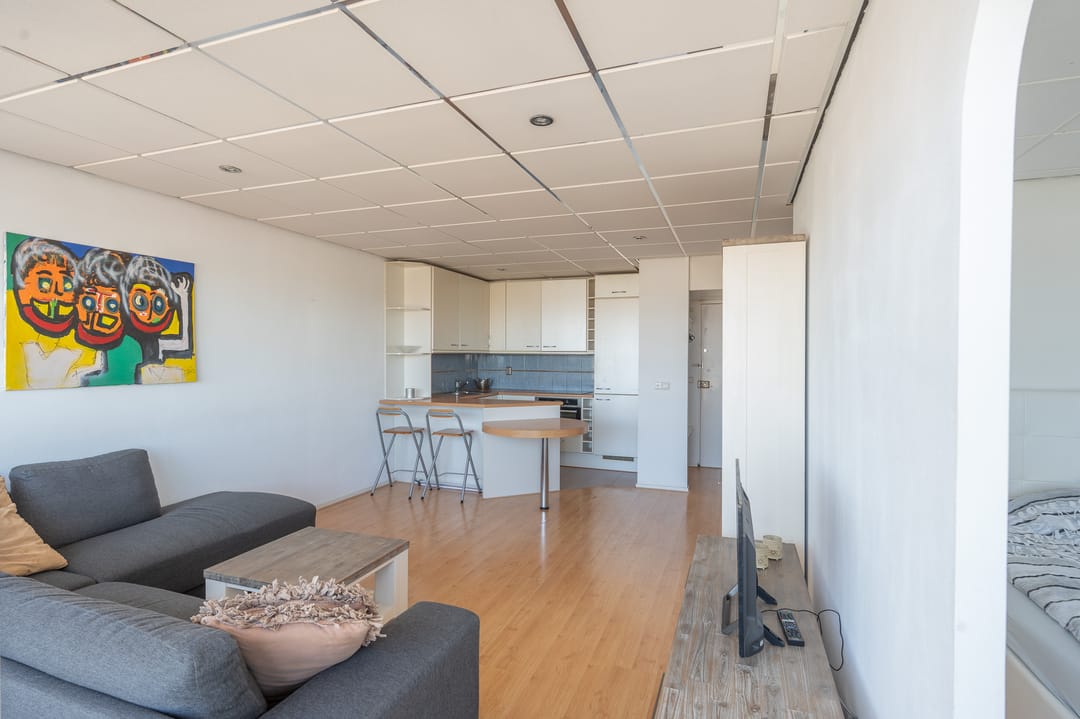 Foto 11 van Vijf Meilaan 168