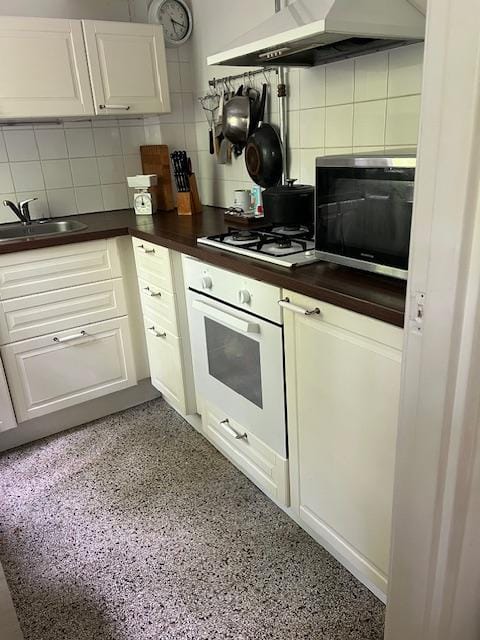 Foto 8 van Park Rodichem 92