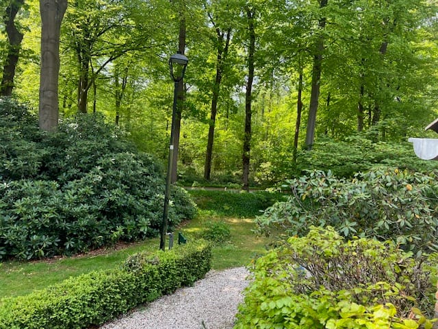 Foto 26 van Park Rodichem 92