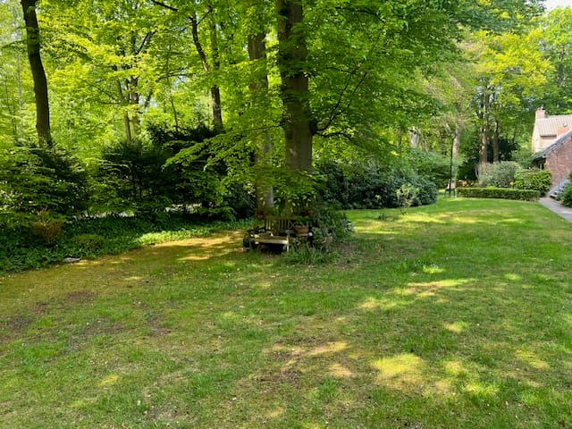 Foto 31 van Park Rodichem 92