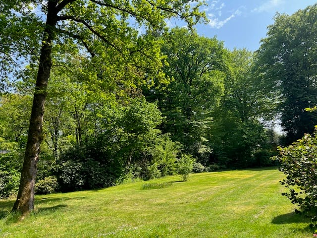 Foto 37 van Park Rodichem 92