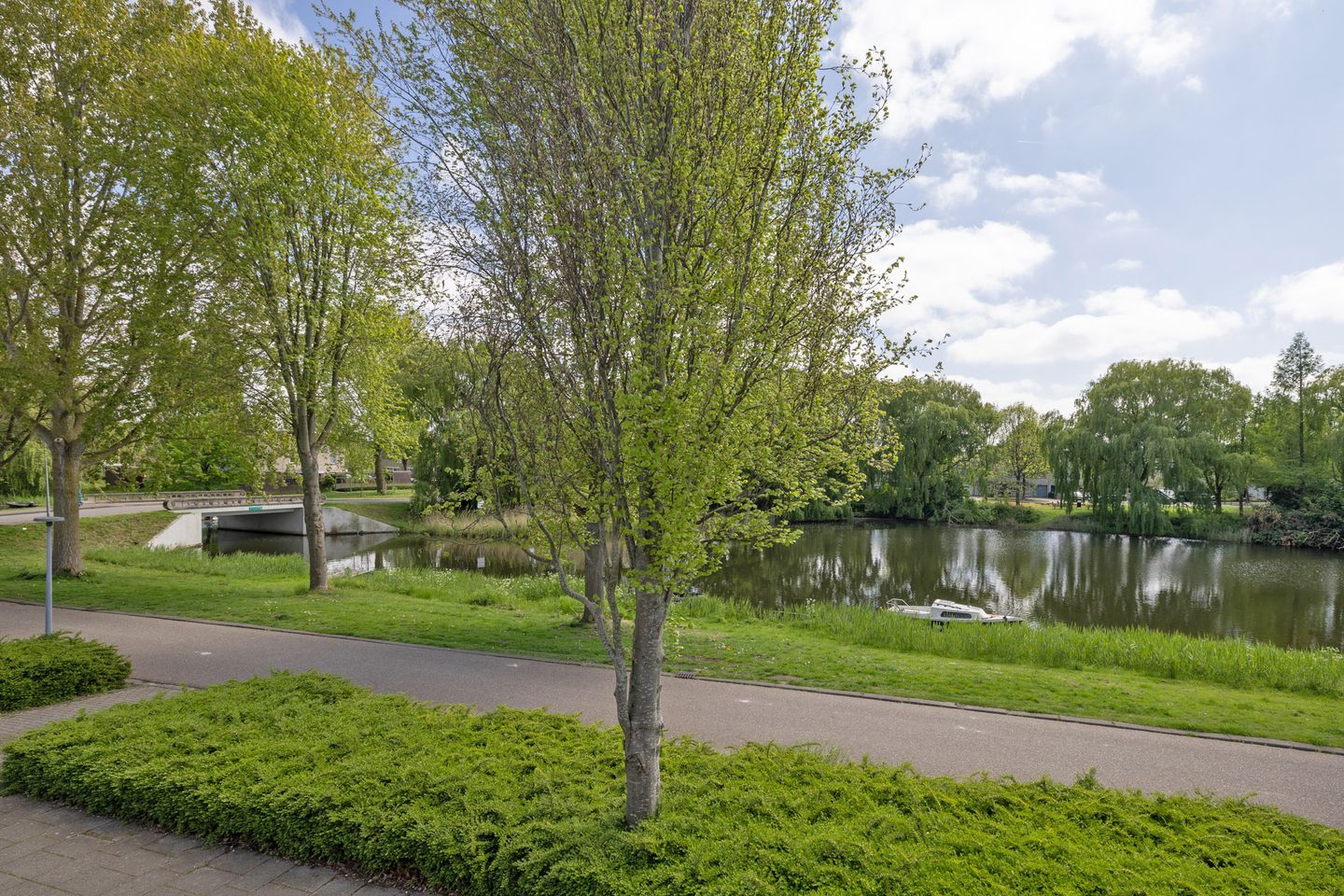 Foto 35 van Louis Chrispijnstraat 13